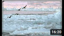DOCUMENTARY MUSIC - The snow story